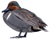 Katka